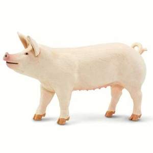 Figurina - Porc Marele Alb | Safari imagine