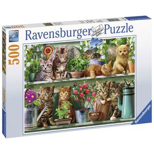 Puzzle 500 piese - Pisici pe Raft | Ravensburger imagine