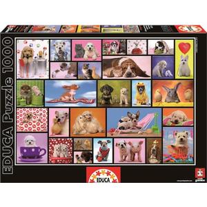 Puzzle 1000 piese - Shared Moments | Educa imagine
