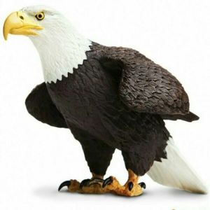 Figurina - Bald Eagle | Safari imagine