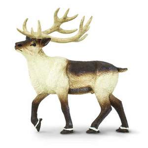 Figurina - North American Reindeer | Safari imagine