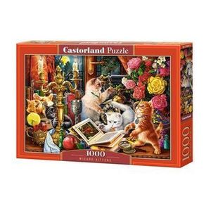 Puzzle Wizard Kittens, 1000 piese imagine