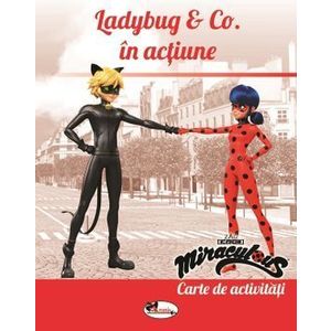 Ladybug & Co. in actiune. Carte de activitati - *** imagine