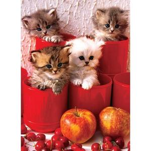 Puzzle 1000 piese Kittens in Pots imagine