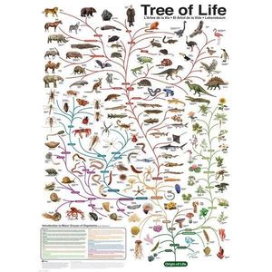 Puzzle 1000 piese The Tree of Life imagine