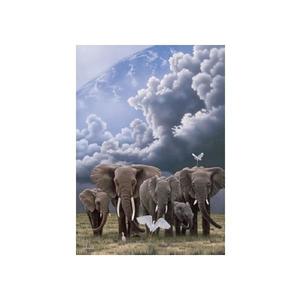 Puzzle Schimmel, 1000 piese, Elefanti imagine