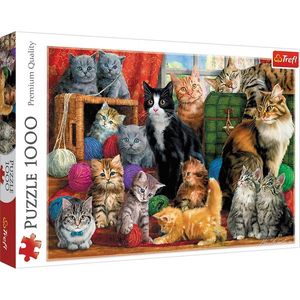 Puzzle 1000 piese - Intalnirea pisicilor / Feline Meetin | Trefl imagine