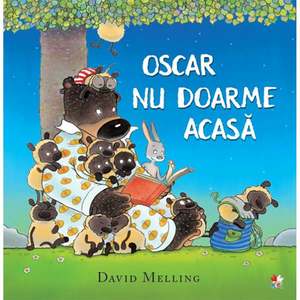 Carte Editura Litera, Oscar nu doarme acasa, David Melling imagine