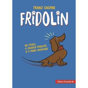 Fridolin, Franz Caspar imagine
