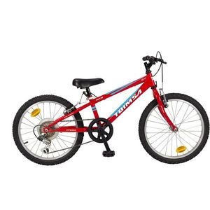 Bicicleta Toimsa, 20 inch, MTB, Red, 6V imagine