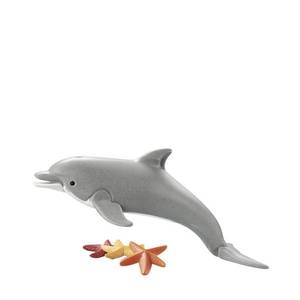 Dolphin imagine