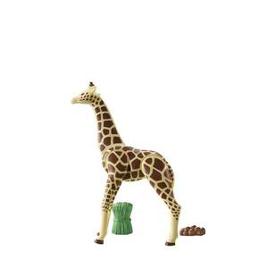 Giraffe imagine