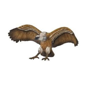 Papo figurina vultur de mare imagine