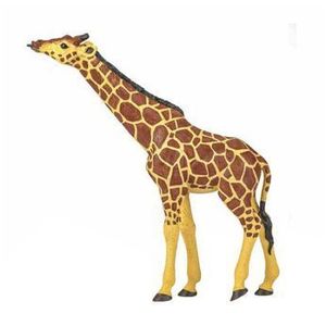 Figurina Papo Animale salbatice - Girafa cu cap ridicat imagine