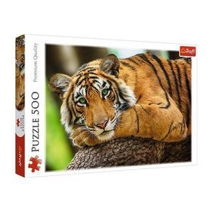 Puzzle Trefl Portretul tigrului, 500 piese imagine