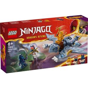 LEGO® Ninjago - Tanarul dragon Riyu (71810) imagine