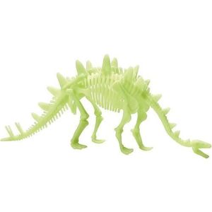 Schelet Stegosaurus reflectorizant imagine