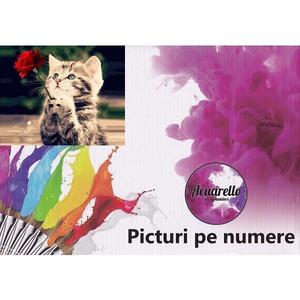 Pictura pe numere: Pisica si trandafir imagine