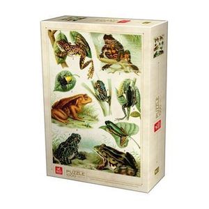 Puzzle adulti Deico Encyclopedia Puzzle - Frogs, 1000 piese imagine