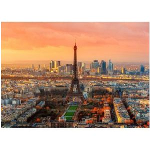 Puzzle Bluebird - Eiffel Tower, Paris, France, 1000 piese imagine