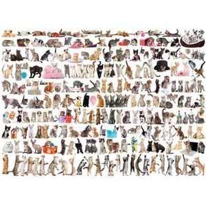 Puzzle Eurographics - The World of Cats, 1000 piese imagine