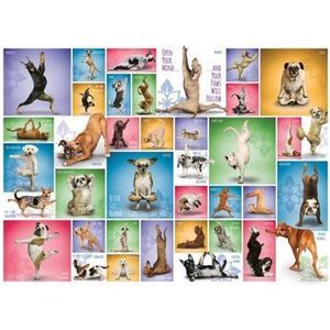Puzzle Eurographics - Yoga Dogs, 1000 piese imagine