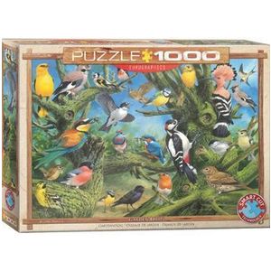 Puzzle Eurographics - Joahn Francis: Garden Birds, 1000 piese imagine
