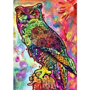 Puzzle Bluebird - Owl, 1000 piese imagine