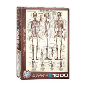 Puzzle Eurographics - Das Skelettsystem, 1000 piese imagine