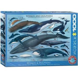 Puzzle Eurographics - Dolphins and Whales, 1000 piese imagine