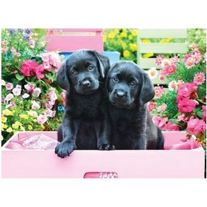 Puzzle Eurographics - Black Labs in Pink Box, 500 piese XXL imagine