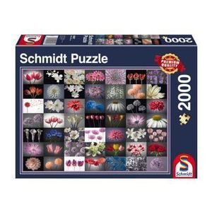Puzzle Schmidt - Salut floral, 2000 piese imagine