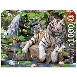 Puzzle Educa - White Bengale Tigers, 1000 piese imagine