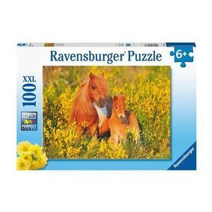 Puzzle Ravensburger - Ponei, 100 piese imagine