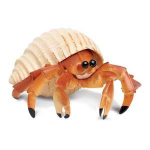 Figurina - Crab in cochilie de melc | Safari imagine