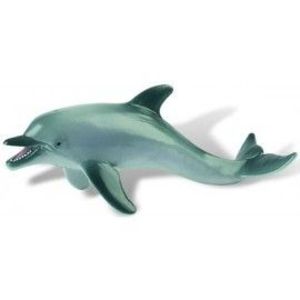 Delfin imagine