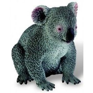 Koala imagine