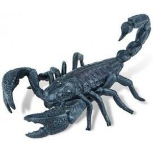 Scorpion imagine