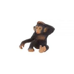 Cimpanzeu imagine