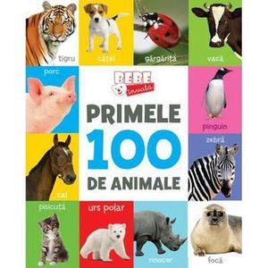Animale, Invat 100 de cuvinte imagine