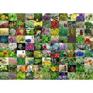 Puzzle 99 De Plante Si Condimente, 1000 Piese imagine