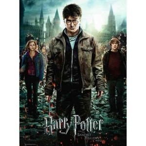 Puzzle Harry Potter Si Talismanele Mortii, Partea 2, 300 Piese imagine