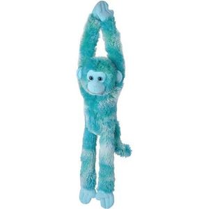 Maimuta care se agata Albastra imagine