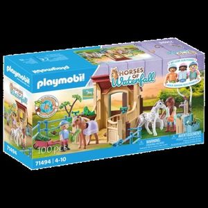 Playmobil-GRAJD DE PONEI imagine