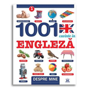 Carte 1001 cuvinte in engleza - despre lume, Editura DPH imagine
