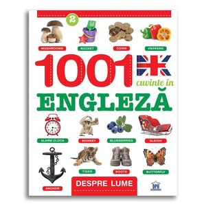 Carte 1001 cuvinte in engleza - despre mine, Editura DPH imagine