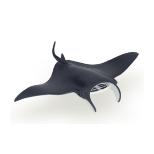 Figurina - Marine life - Manta ray | Papo imagine