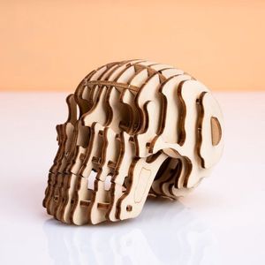Puzzle 3D - Craniu | Kikkerland imagine