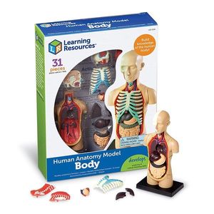 Joc - Macheta corpului uman | Learning Resources imagine
