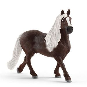 Figurina - Armasar Black Stallion | Schleich imagine